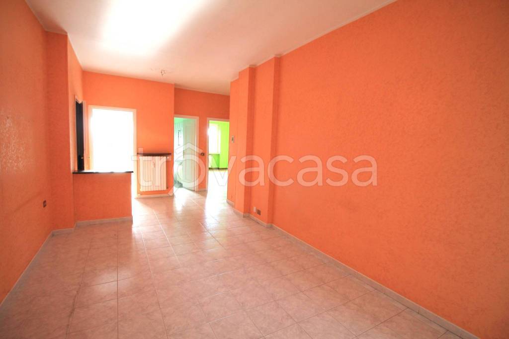 immagine annuncio 3 di 12