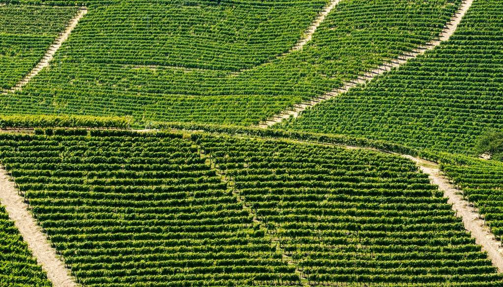 immagine annuncio 6 di 11