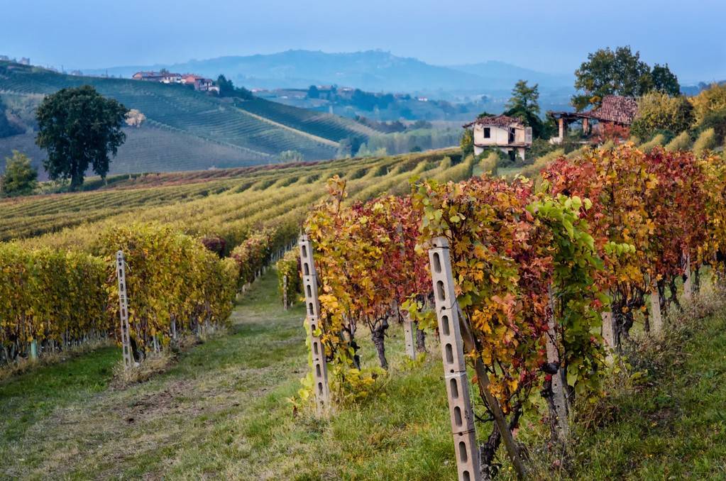 immagine annuncio 9 di 11