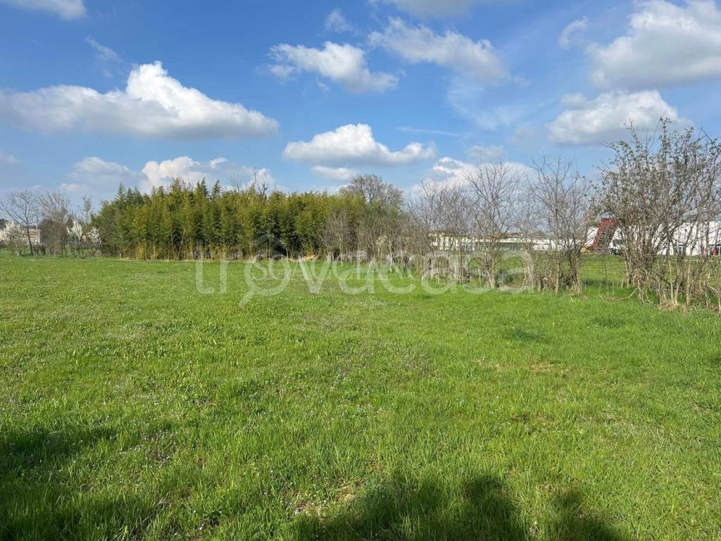 immagine annuncio 3 di 12