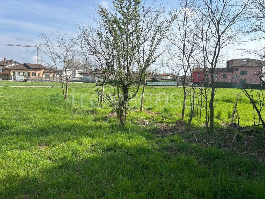 immagine annuncio 5 di 12