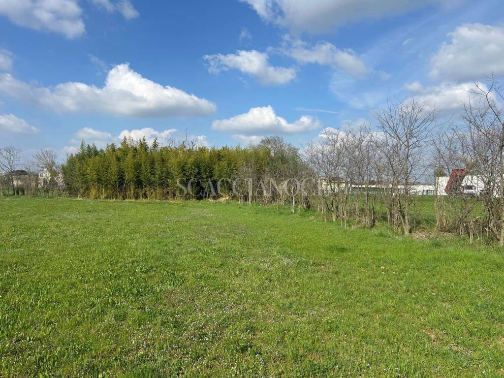 immagine annuncio 6 di 12