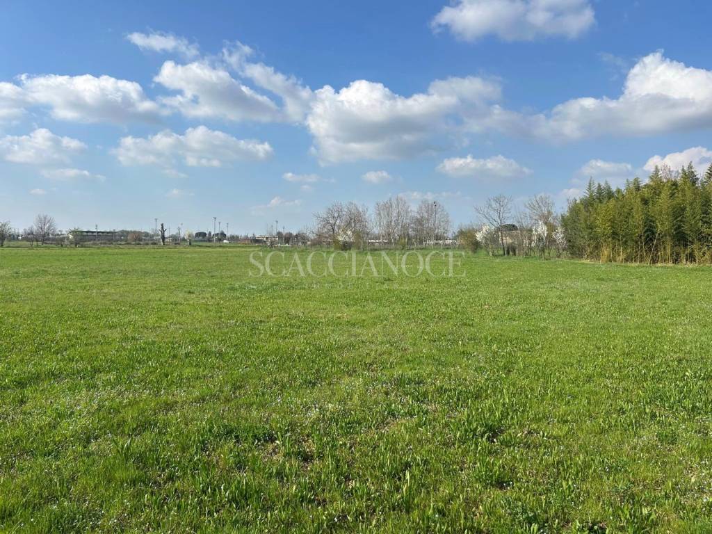 immagine annuncio 7 di 12