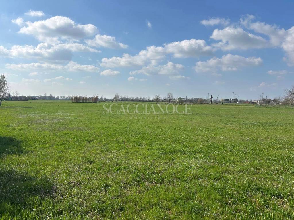 immagine annuncio 9 di 12