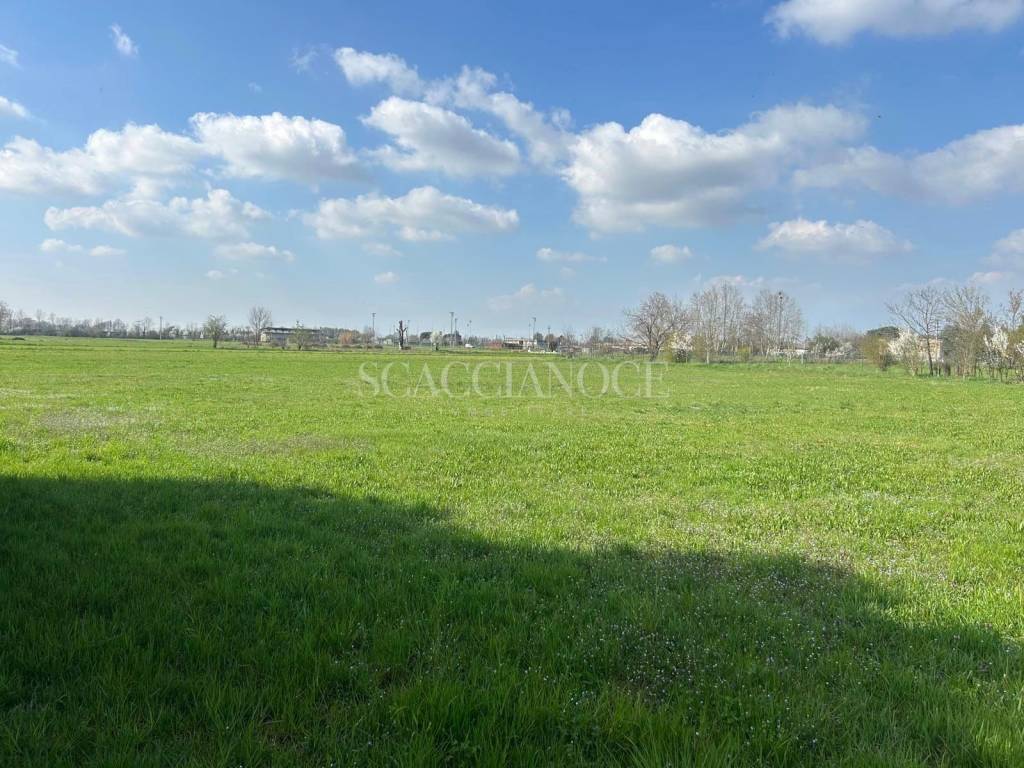 immagine annuncio 11 di 12