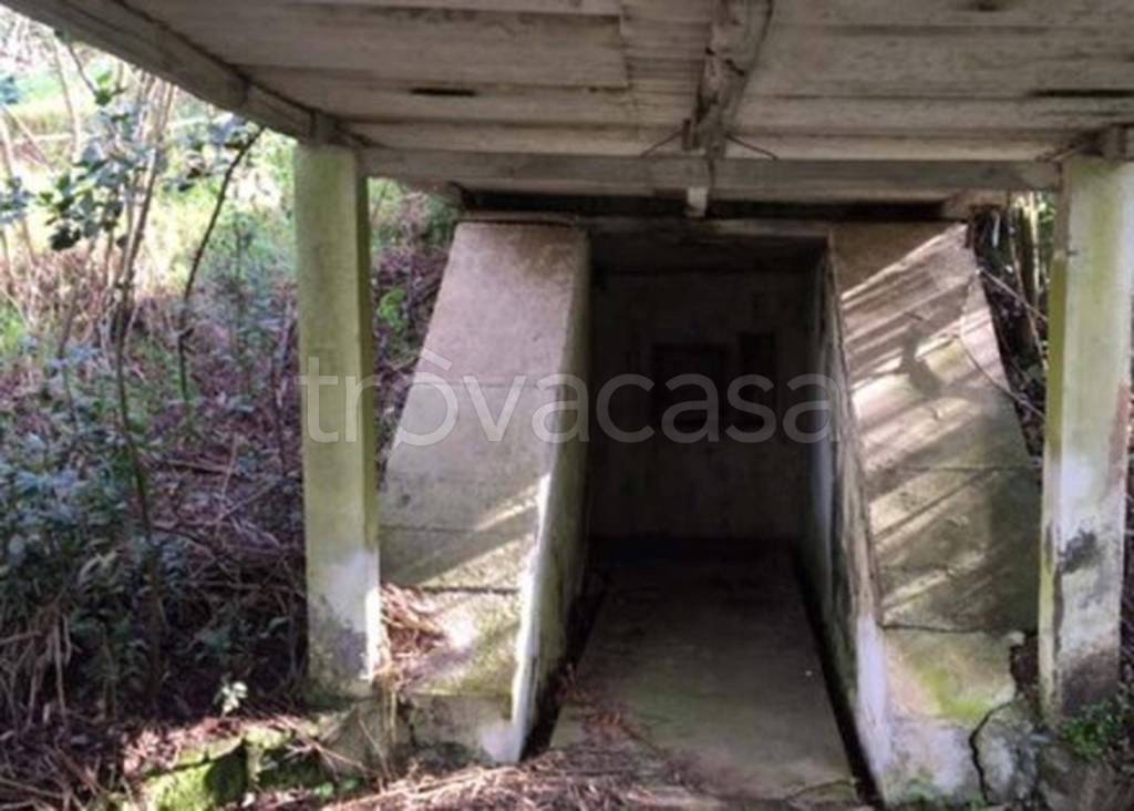 immagine annuncio 4 di 13