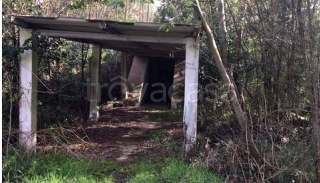 immagine annuncio 6 di 13