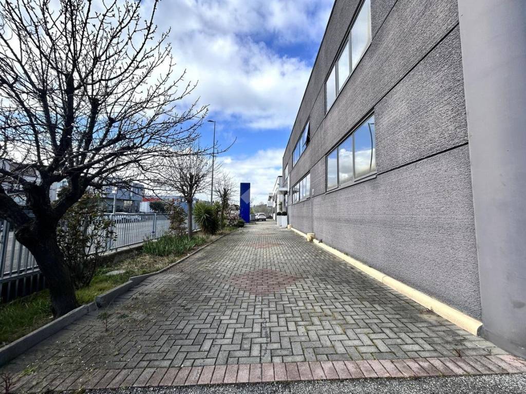 immagine annuncio 8 di 15