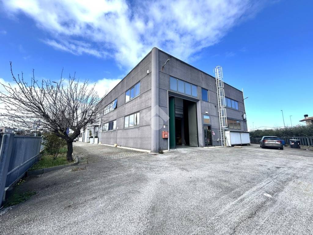 immagine annuncio 10 di 15