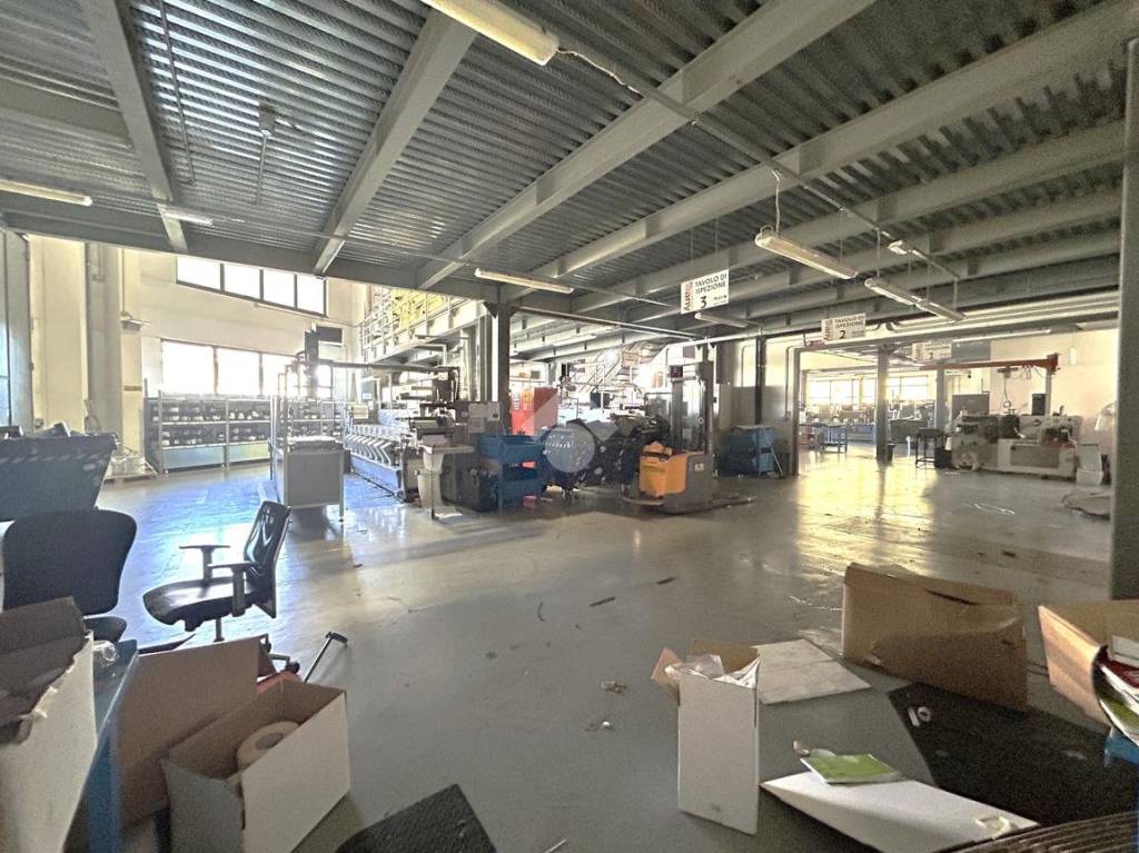 immagine annuncio 11 di 15