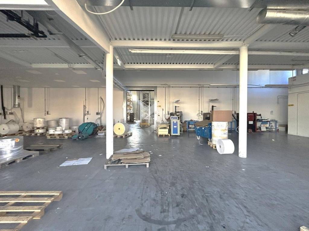 immagine annuncio 12 di 15