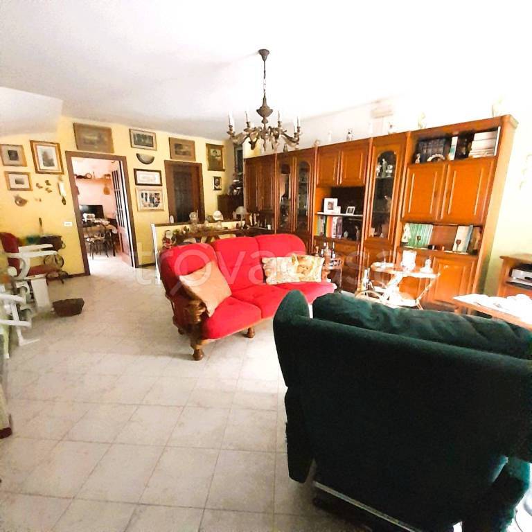 immagine annuncio 2 di 12