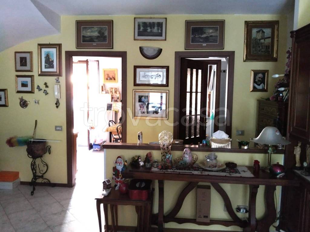 immagine annuncio 4 di 12