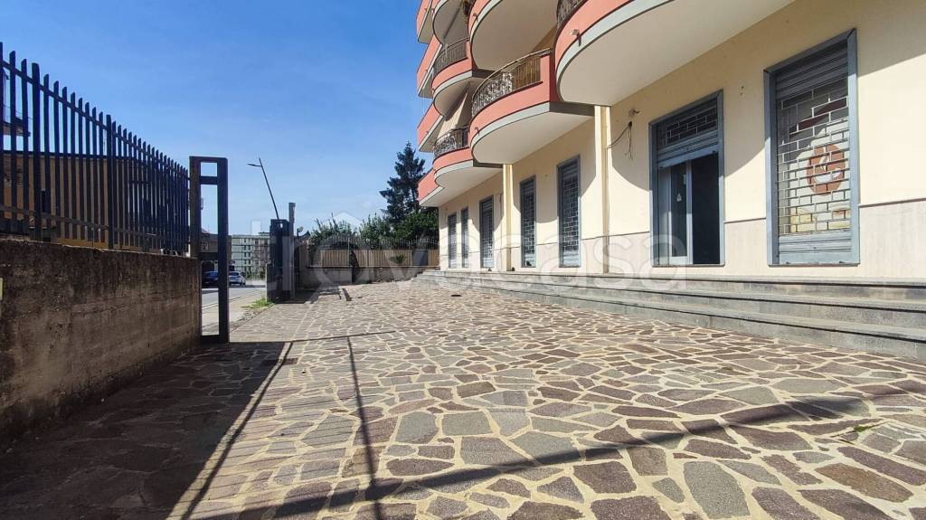 immagine annuncio 2 di 14