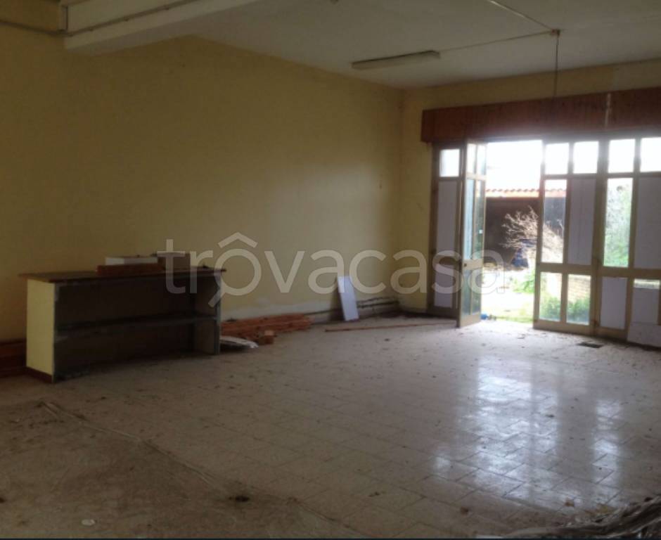 immagine annuncio 2 di 8