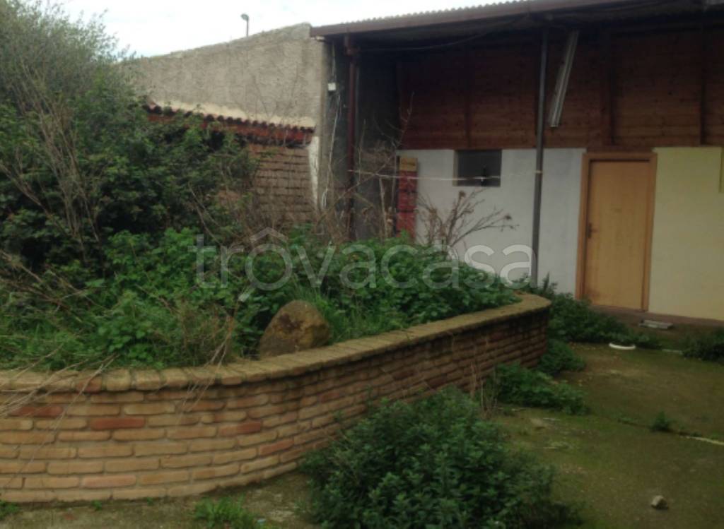 immagine annuncio 3 di 8