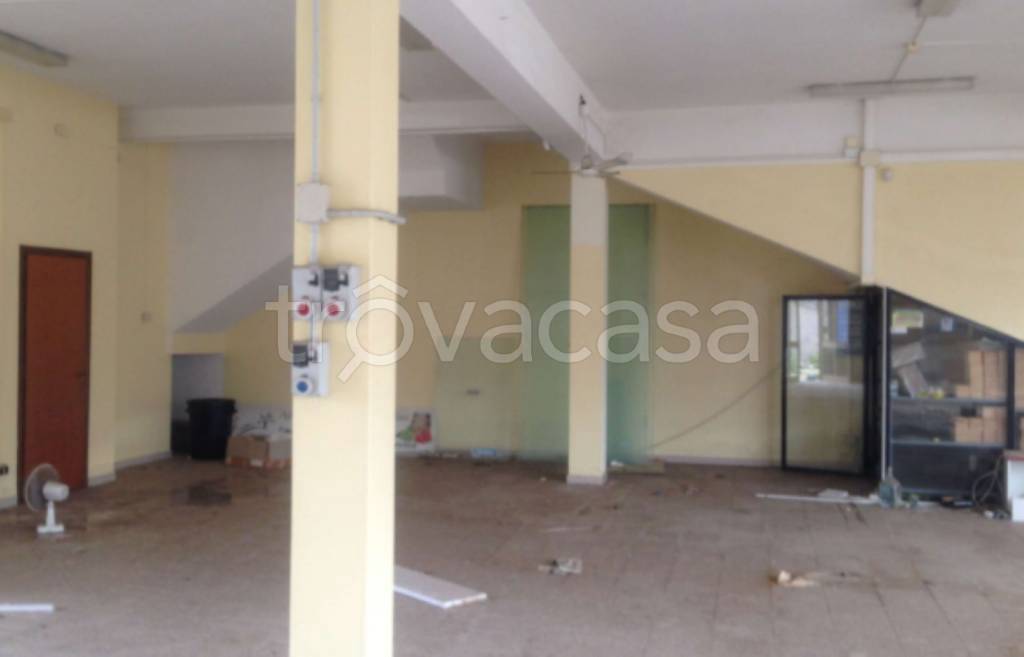 immagine annuncio 4 di 8