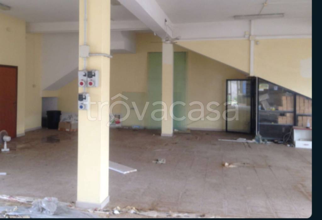 immagine annuncio 5 di 8