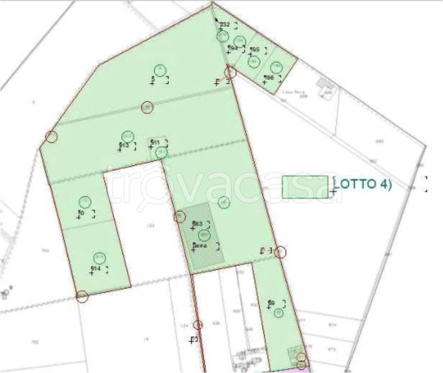 immagine annuncio 12 di 15