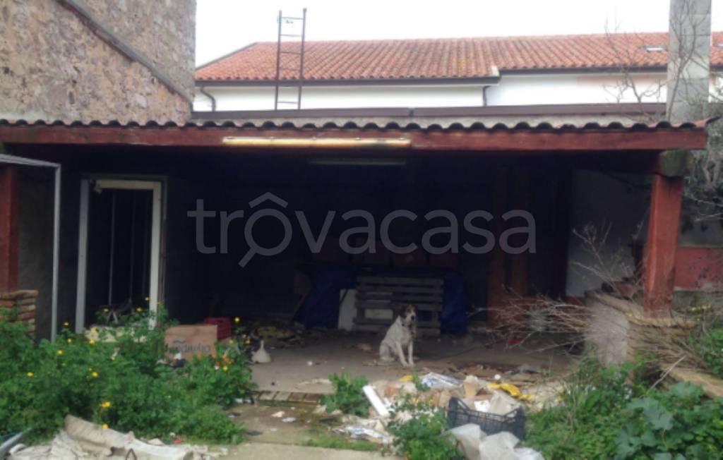 immagine annuncio 6 di 8