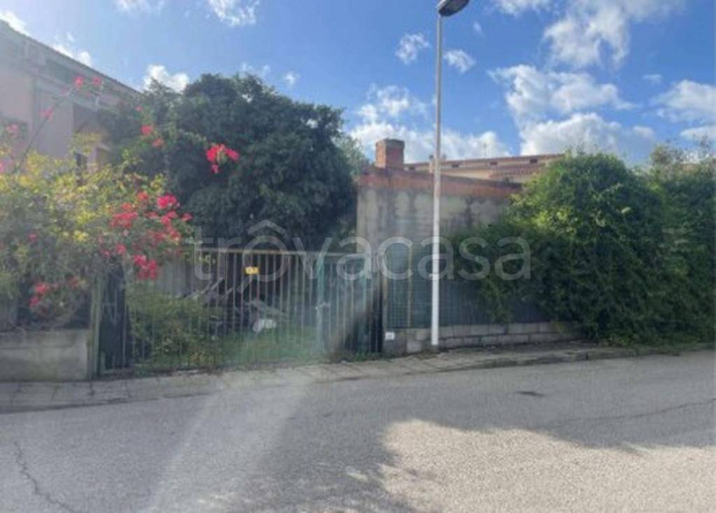 immagine annuncio 3 di 11