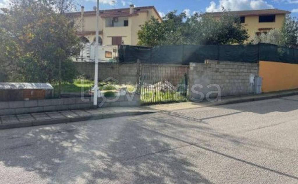 immagine annuncio 4 di 11