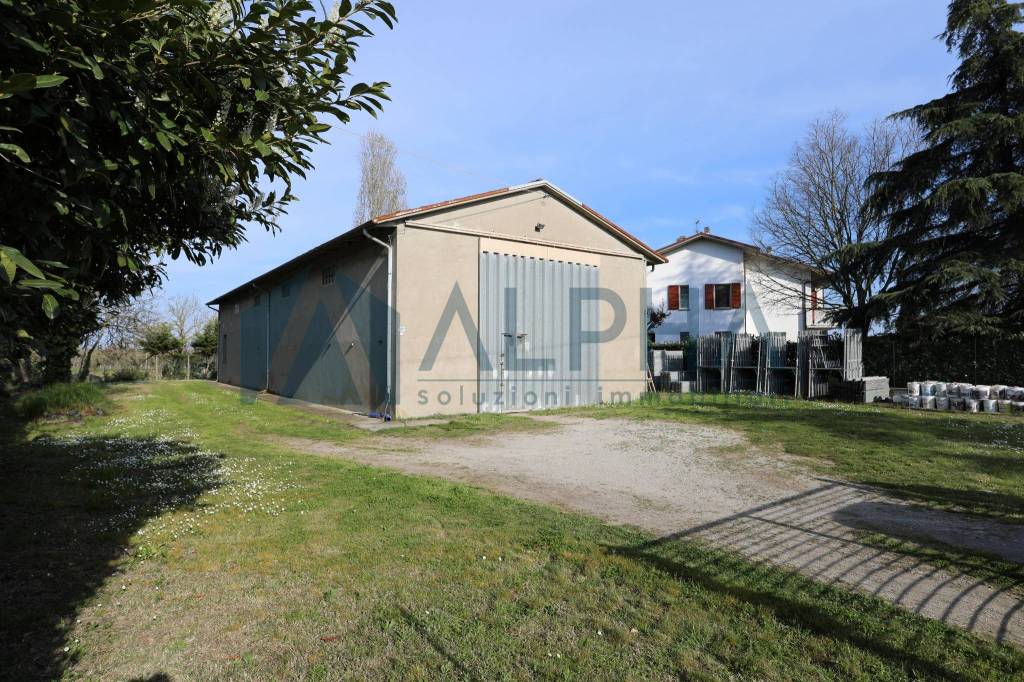 immagine annuncio 1 di 14