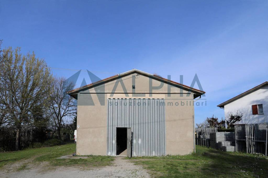 immagine annuncio 2 di 14