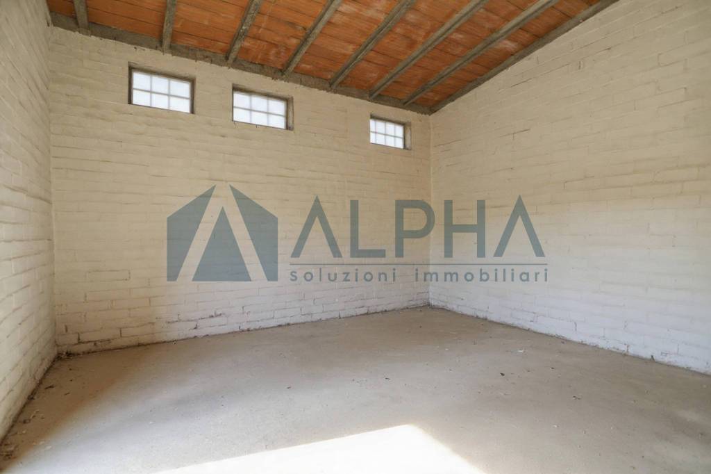 immagine annuncio 4 di 14