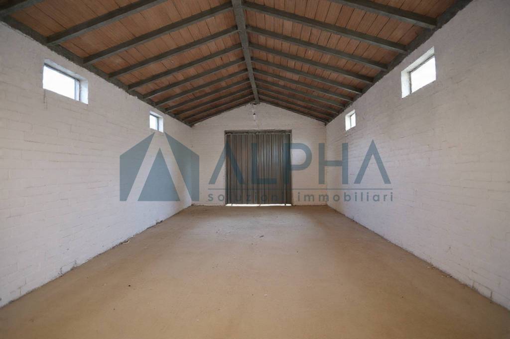 immagine annuncio 6 di 14