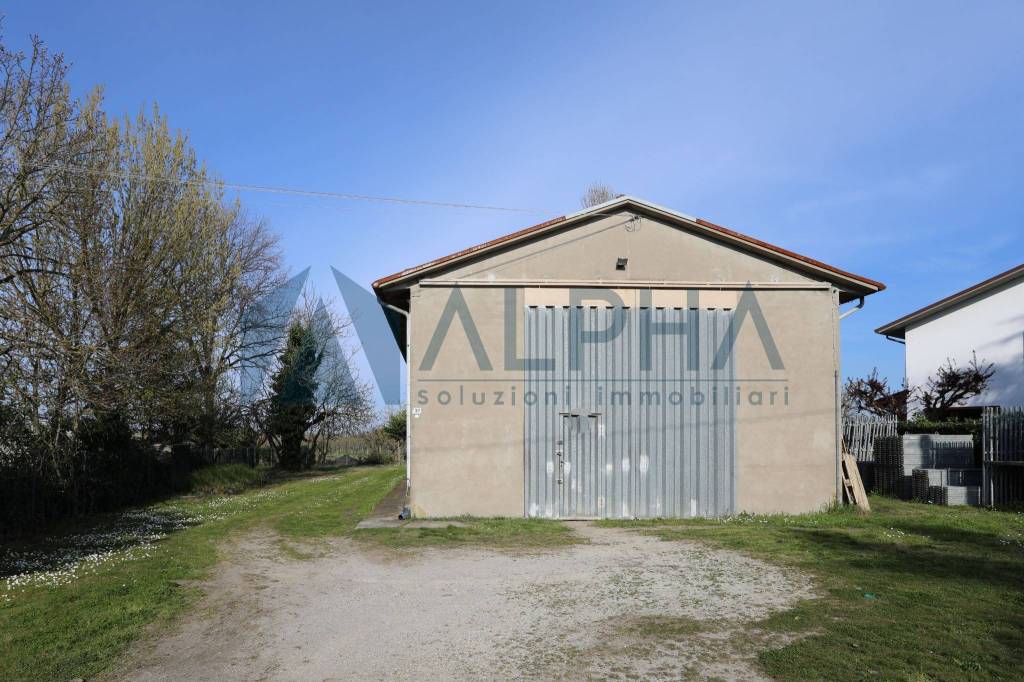 immagine annuncio 8 di 14