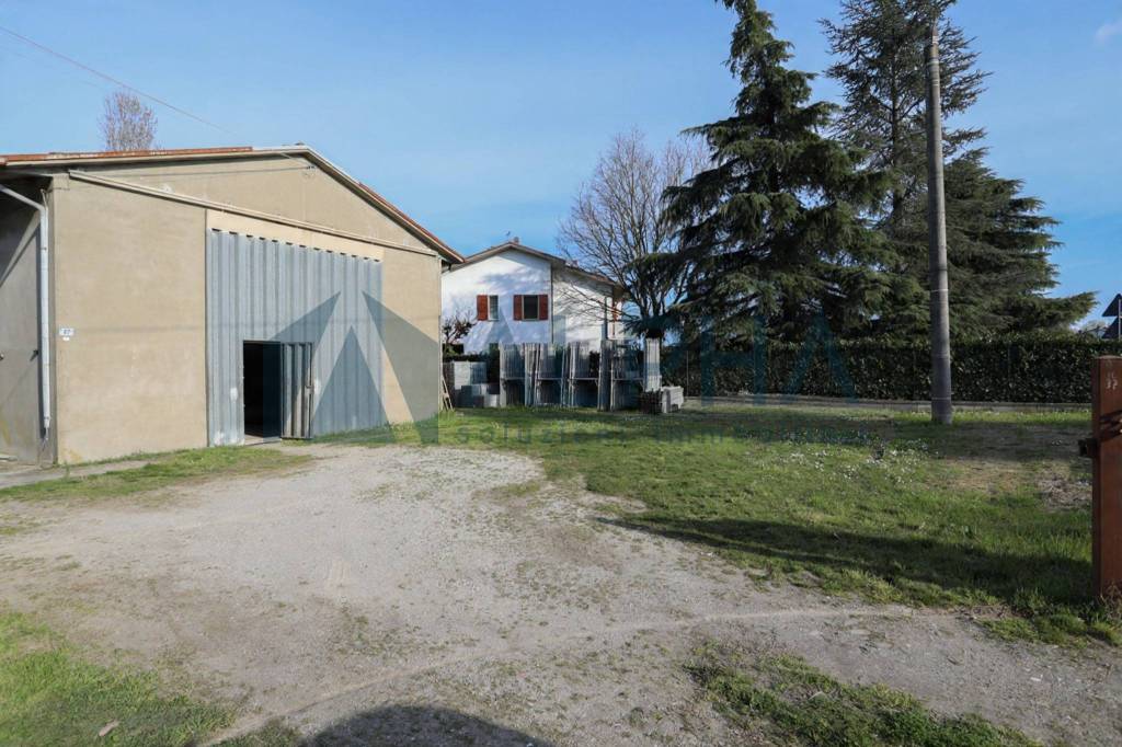 immagine annuncio 9 di 14