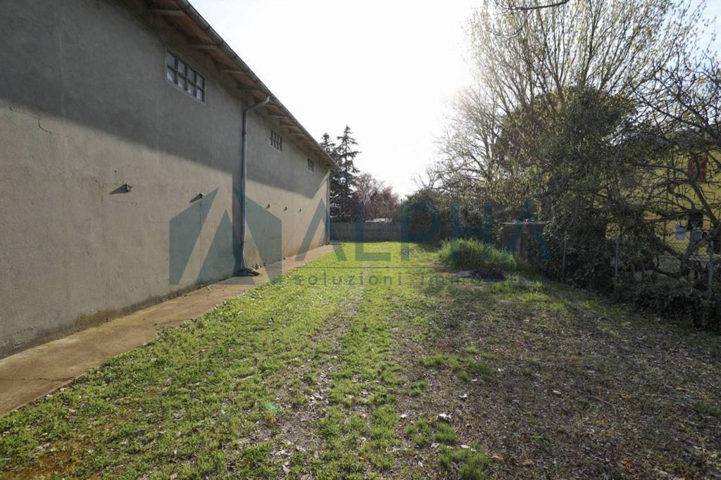 immagine annuncio 11 di 14