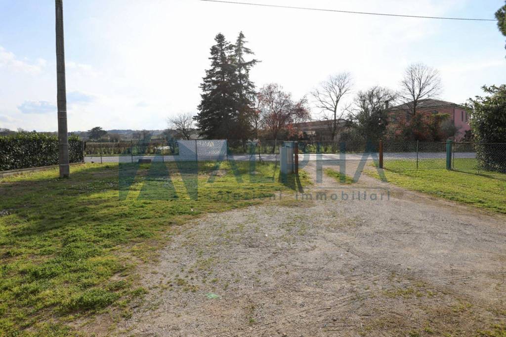 immagine annuncio 12 di 14