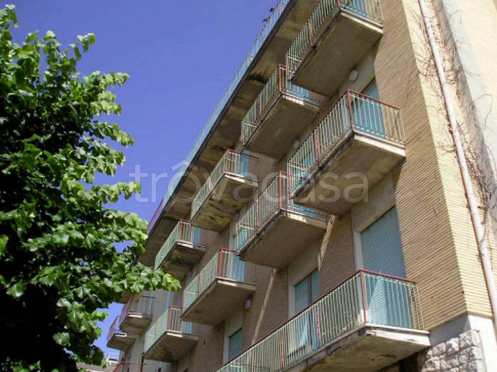 immagine annuncio 3 di 12