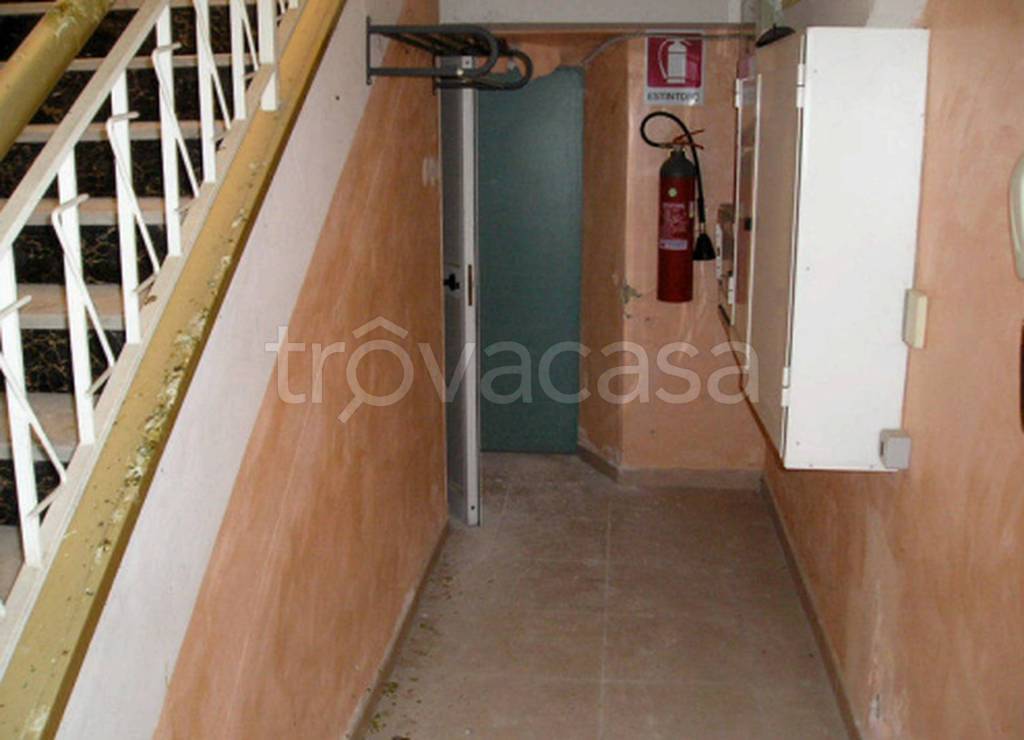 immagine annuncio 7 di 12