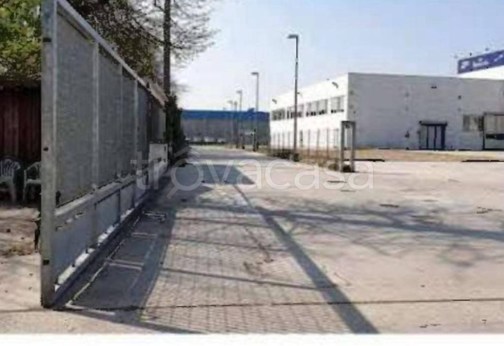 immagine annuncio 4 di 11