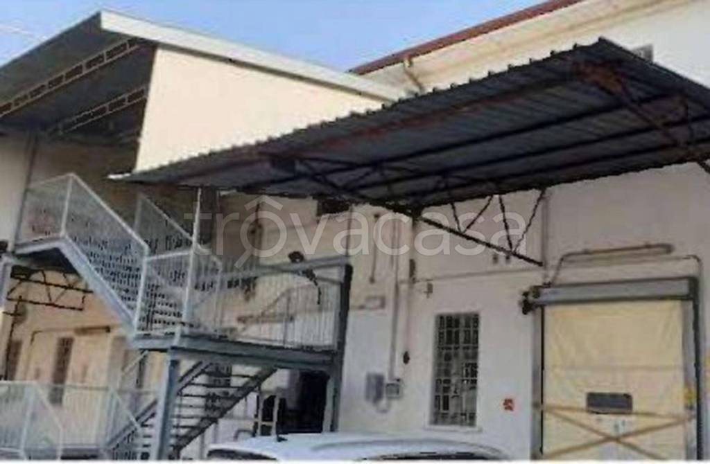 immagine annuncio 10 di 11