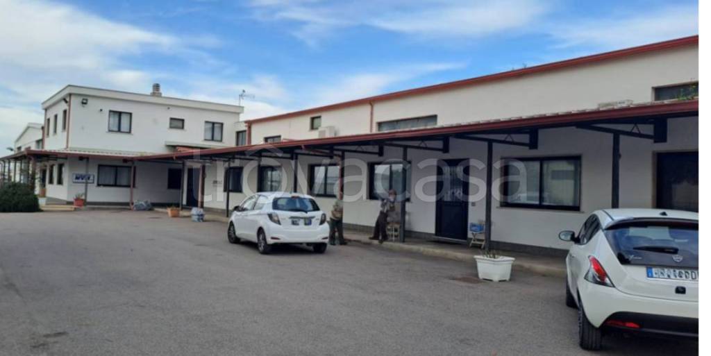 immagine annuncio 1 di 11