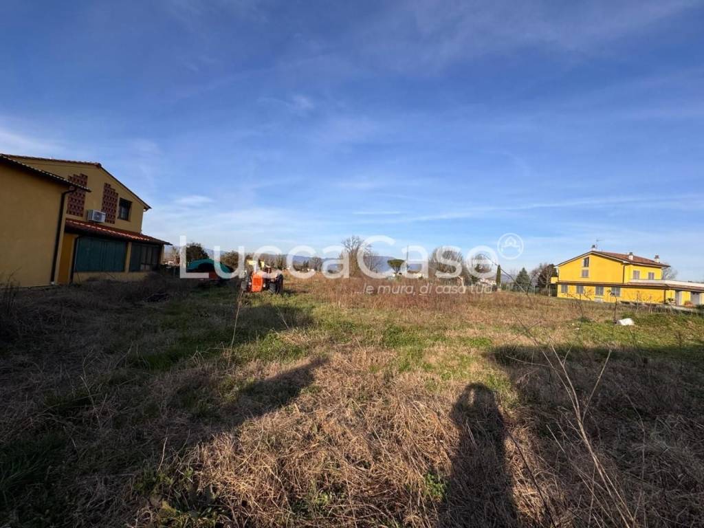 immagine annuncio 7 di 8