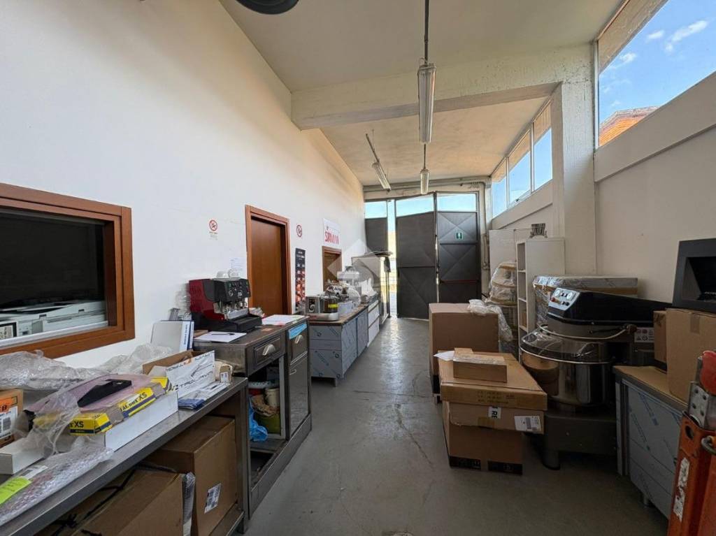 immagine annuncio 9 di 15