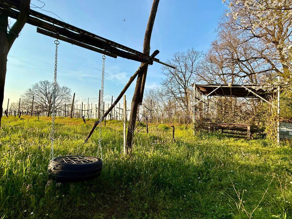 immagine annuncio 9 di 10