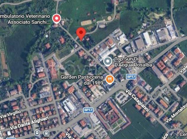 immagine annuncio 5 di 12