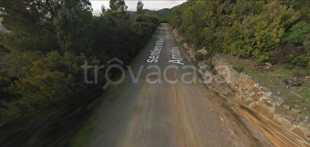 immagine annuncio 6 di 11