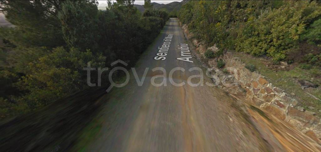 immagine annuncio 7 di 11