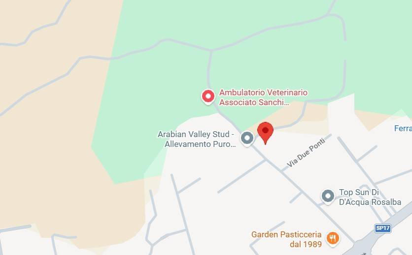 immagine annuncio 10 di 12