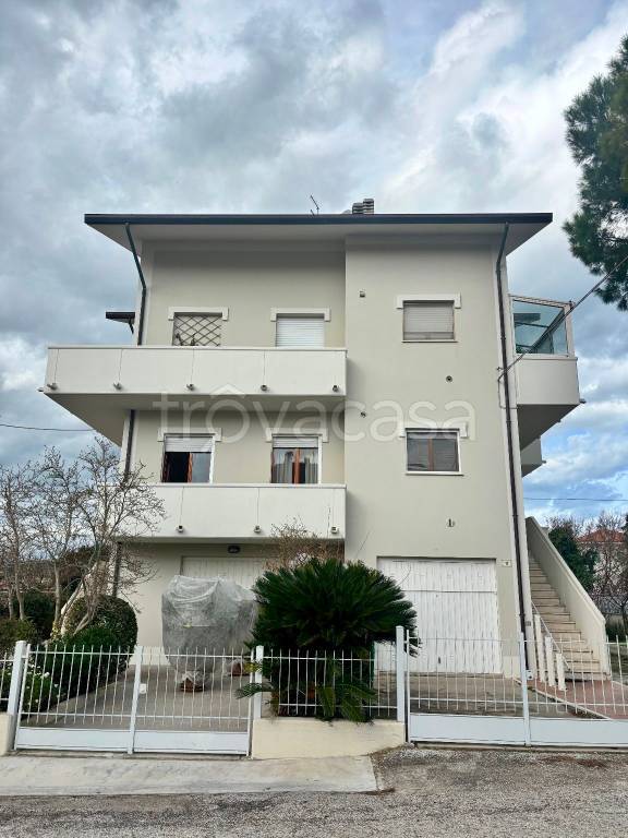 immagine annuncio 5 di 12