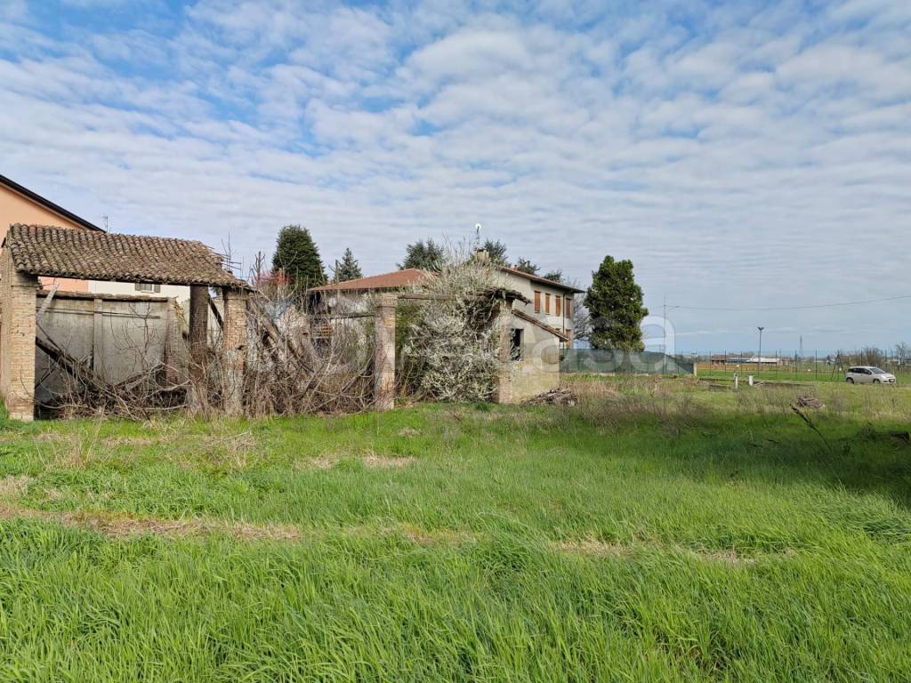 immagine annuncio 3 di 6