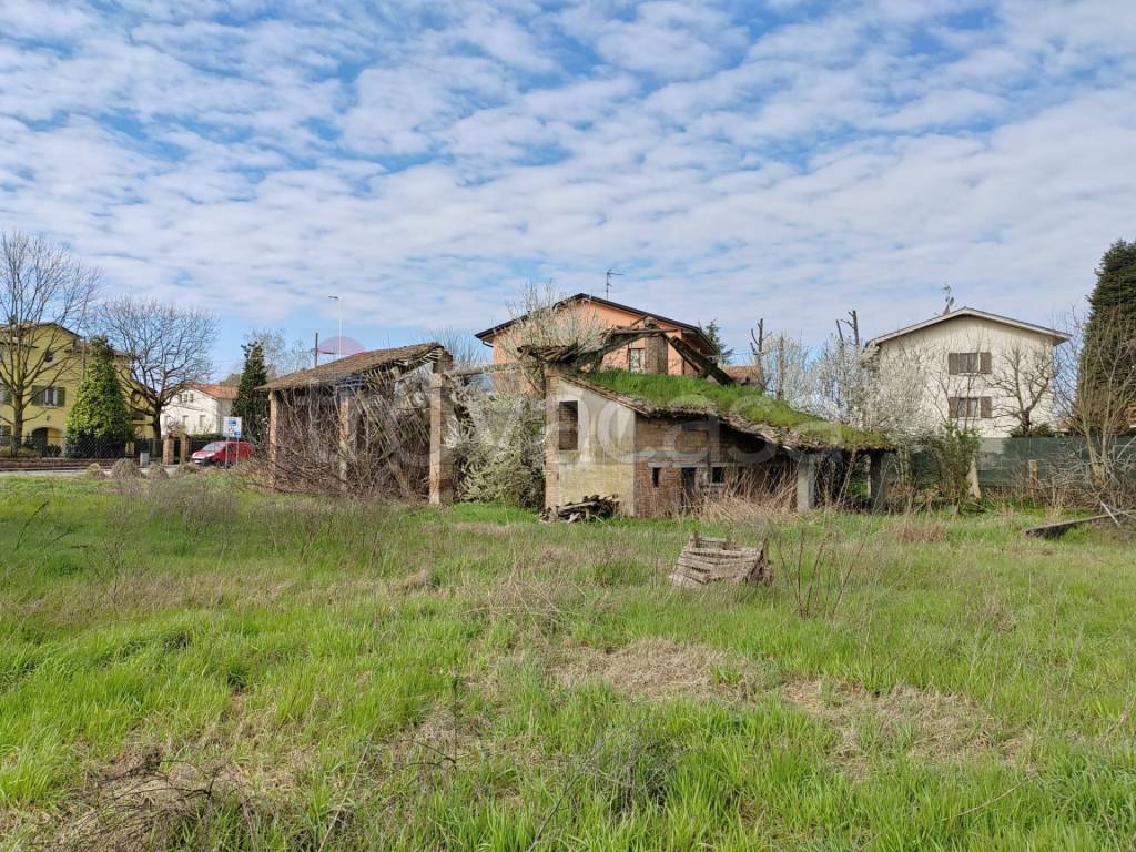 immagine annuncio 4 di 6