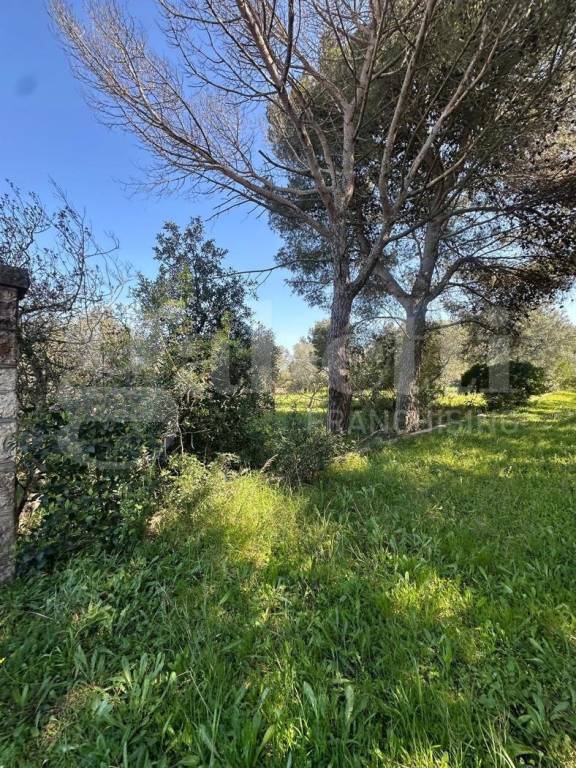 immagine annuncio 4 di 7